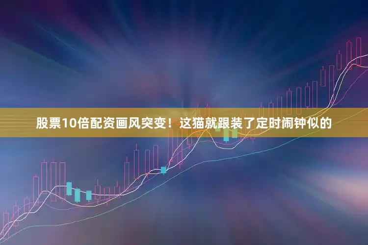 股票10倍配资画风突变！这猫就跟装了定时闹钟似的