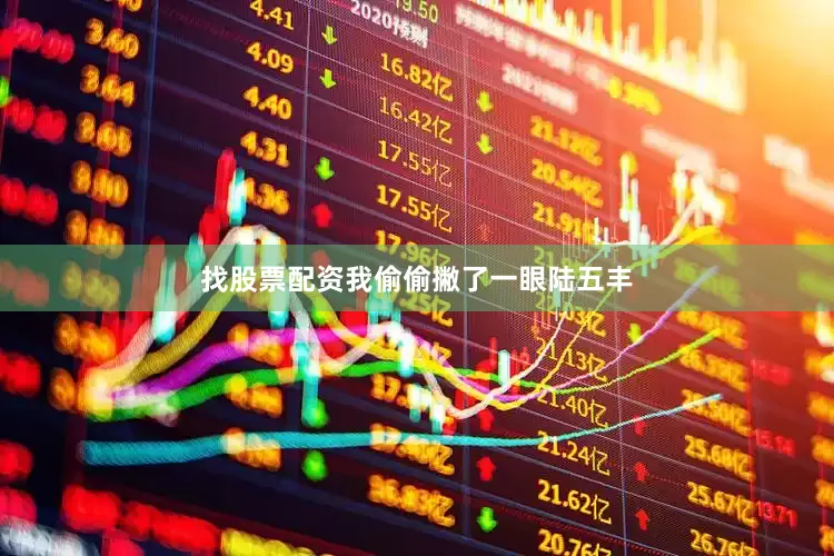找股票配资我偷偷撇了一眼陆五丰