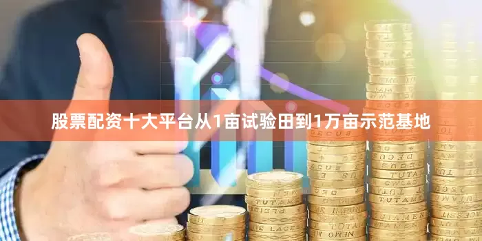 股票配资十大平台从1亩试验田到1万亩示范基地