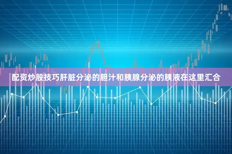 配资炒股技巧肝脏分泌的胆汁和胰腺分泌的胰液在这里汇合